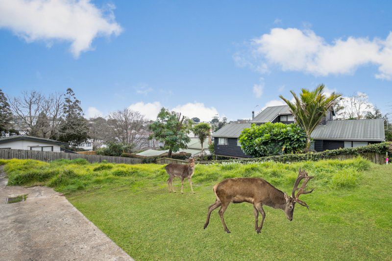 4/613a Mount Albert Road, Royal Oak, Auckland, 0 Bedrooms, 0 Bathrooms