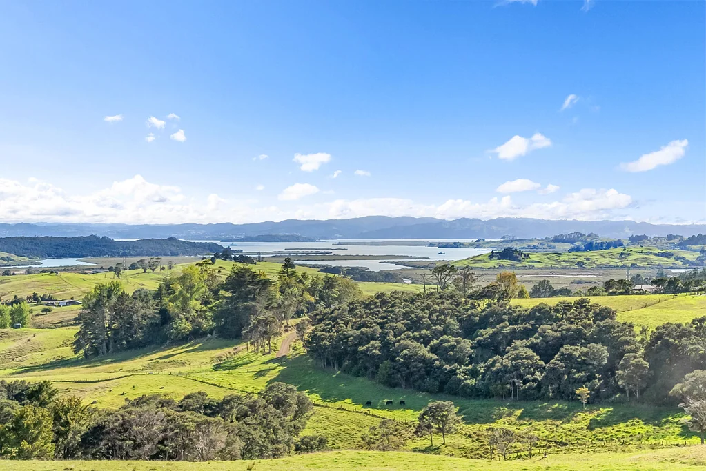 Mangapai and Surrounds Your Dream Lifestyle Awaits!