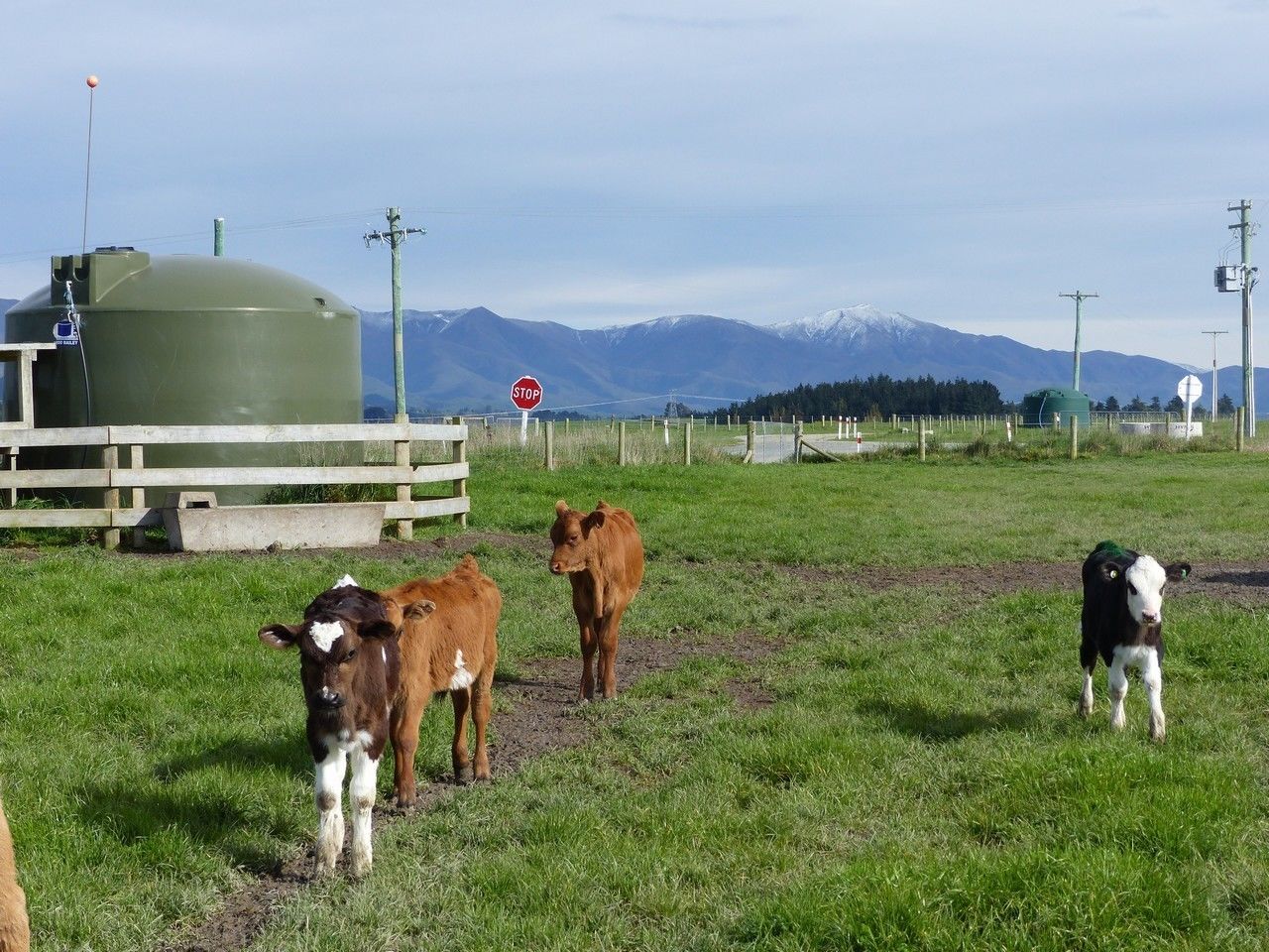 Tavistock Road, Otaio, Waimate, 3 habitaciones, 0 baños