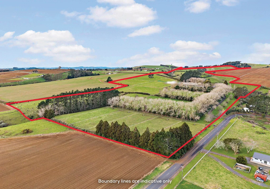 Onewhero 3房  45.59 HA OF INCOME EARNING LEASED LAND + HOME