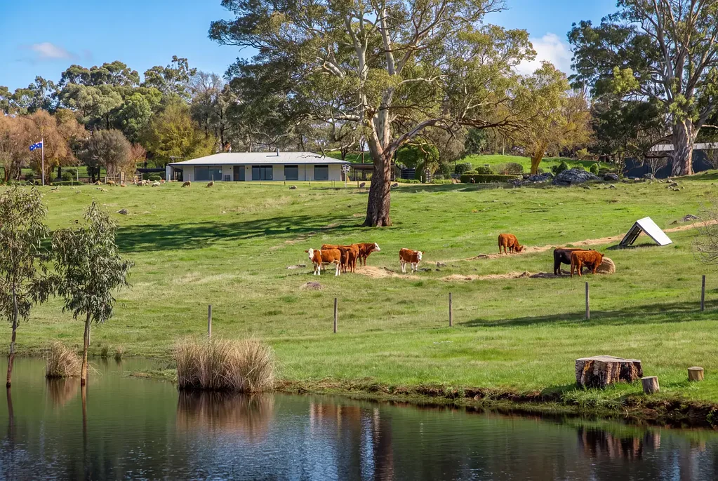 Woodside "Bancroft" - 78 Acres of Privacy, Productivity and Breathtaking Hills Beauty