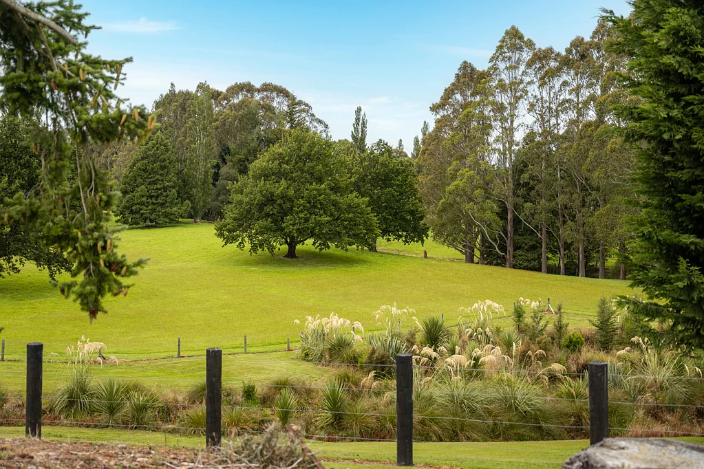 84 Cover Street, Lumsden, Southland