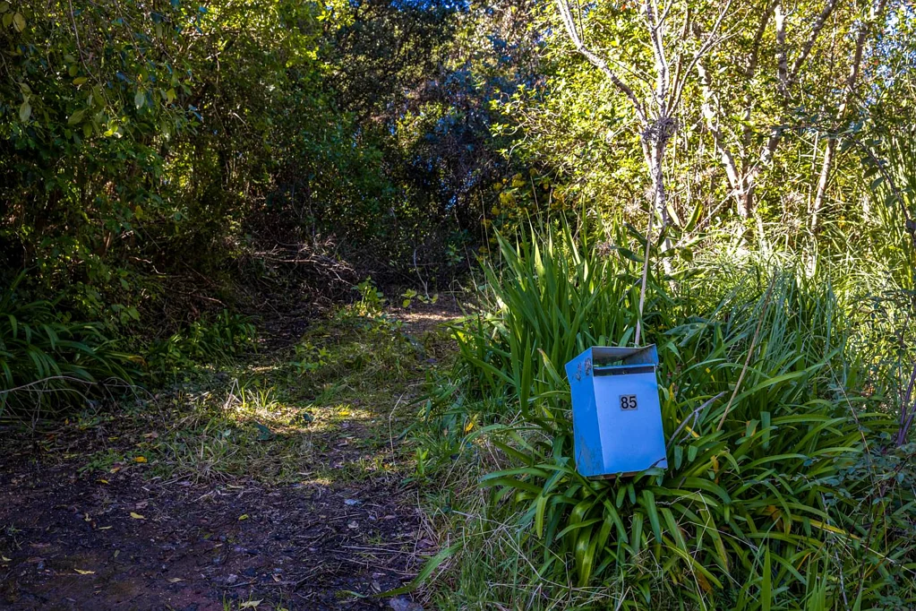 85 Hill Road, Palm Beach, Waiheke Island, Auckland