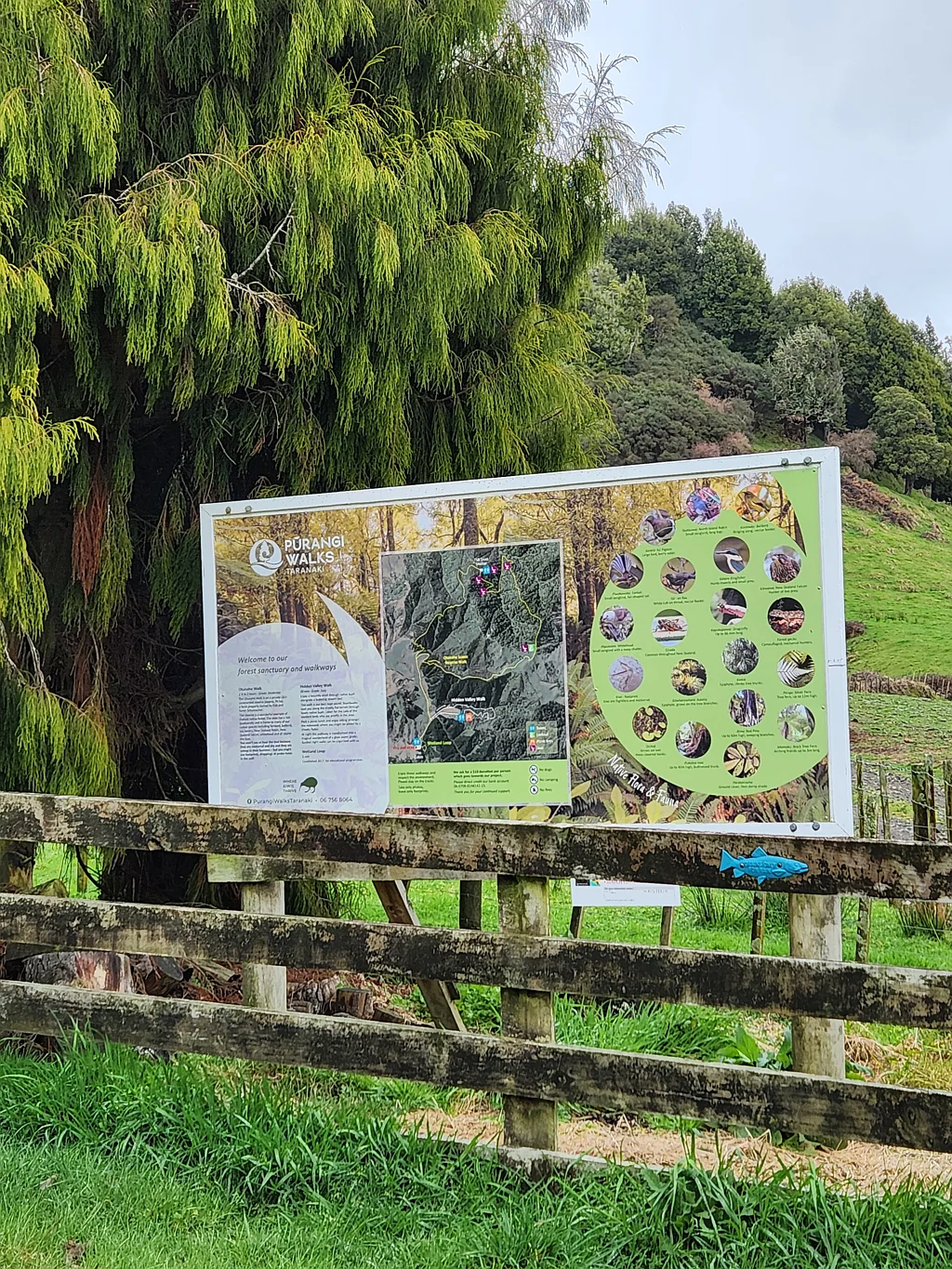 Tarata Carbon Farming Getaway
