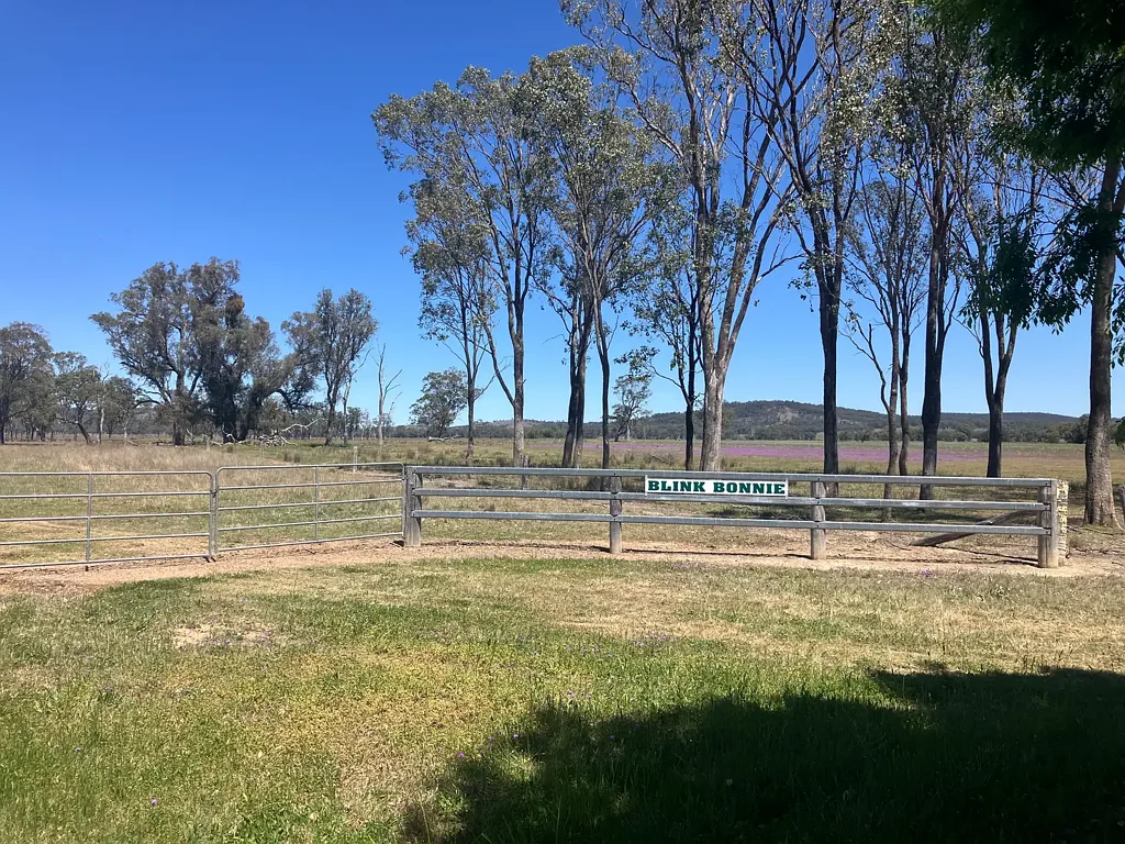 'Blink Bonnie' 1128 Leyburn-Cunningham Road, Old Talgai, QLD 4362