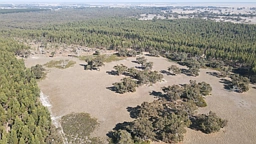 Section 386 Black Range Road, Lucindale