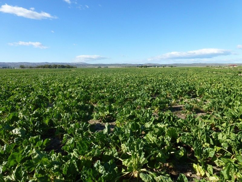 635 Poolburn Moa Creek Road, Moa Creek, Otago, 3 રૂમ, 1 બાથરૂમ