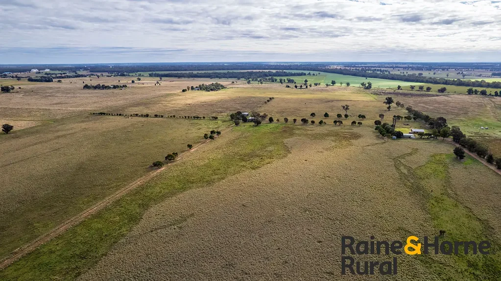 223 Ellis Road, Gilgandra, NSW 2827