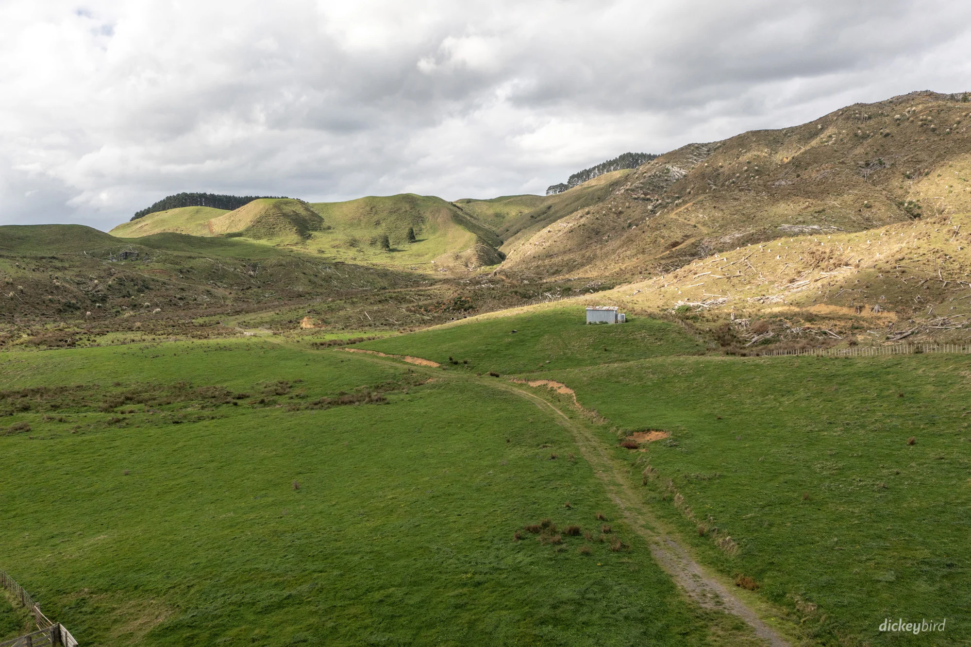 Pond Road, Raglan, 1 Schlafzimmer, 1 Badezimmer, Unspecified
