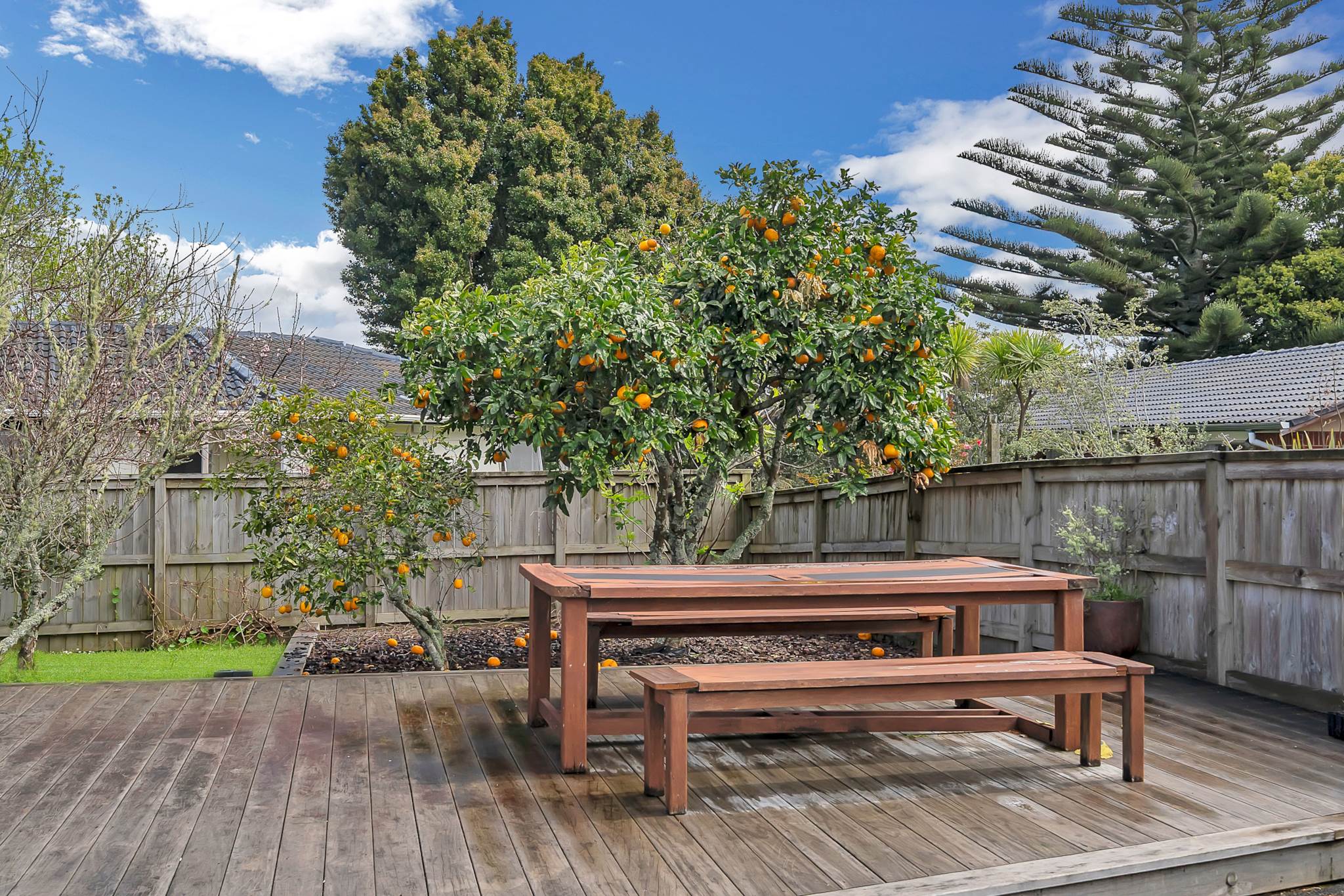 35 Powrie Street, Glenfield, photo 14