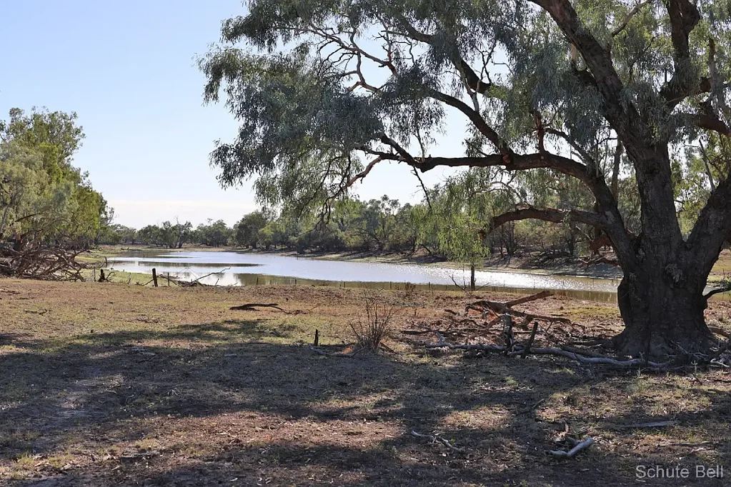 North Bourke  Fertile open grazing country