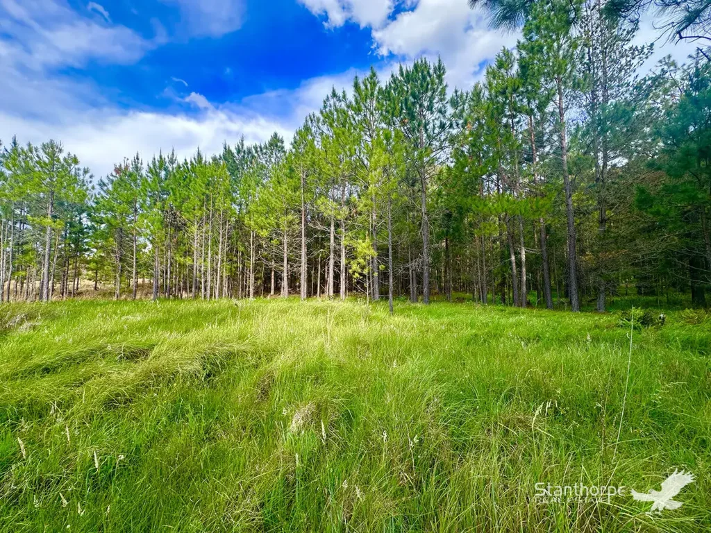 LOT 261 Panoramic Drive, Sugarloaf, QLD 4380
