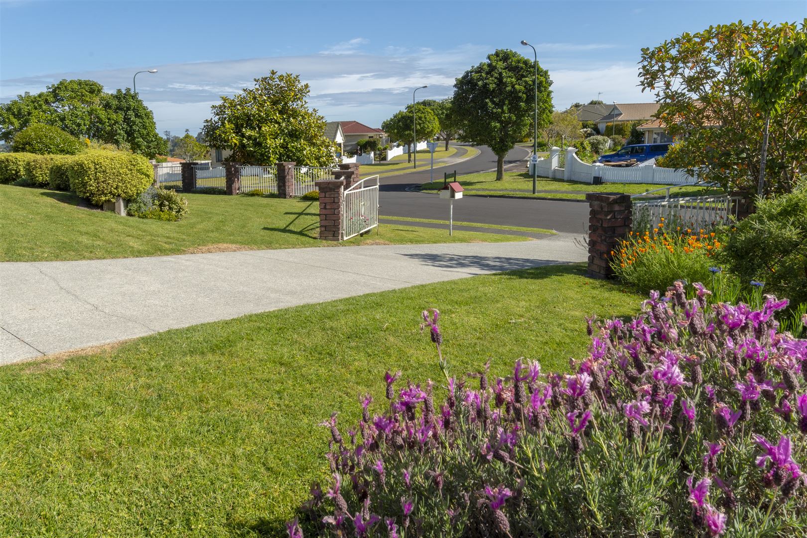 187 Sapphire Drive, Hairini, Tauranga, 4 rūma, 0 rūma horoi