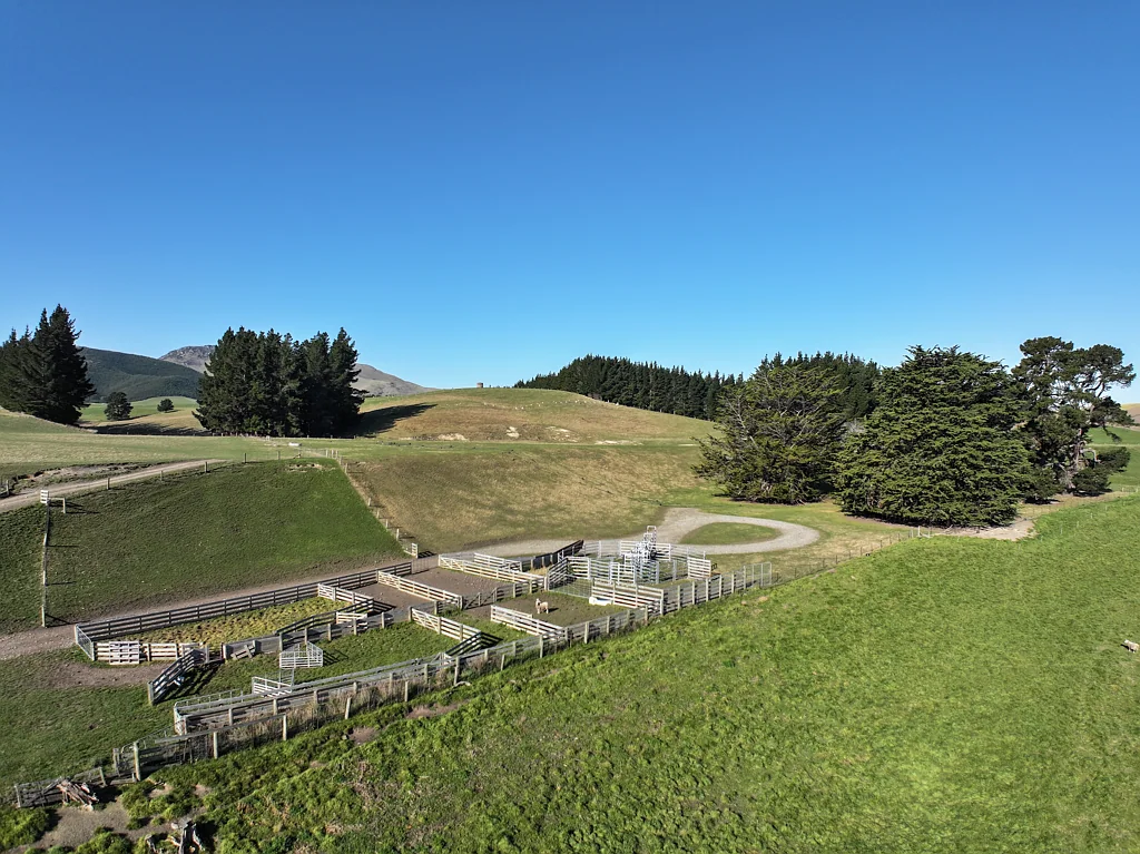 Palmerston Dairy Grazing and Finishing Farm - Palmerston