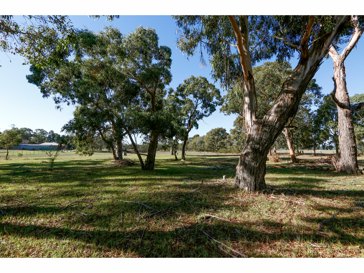 29 GERRAND DR, LONGFORD VIC 3851, 0 Bedrooms, 0 Bathrooms, Section