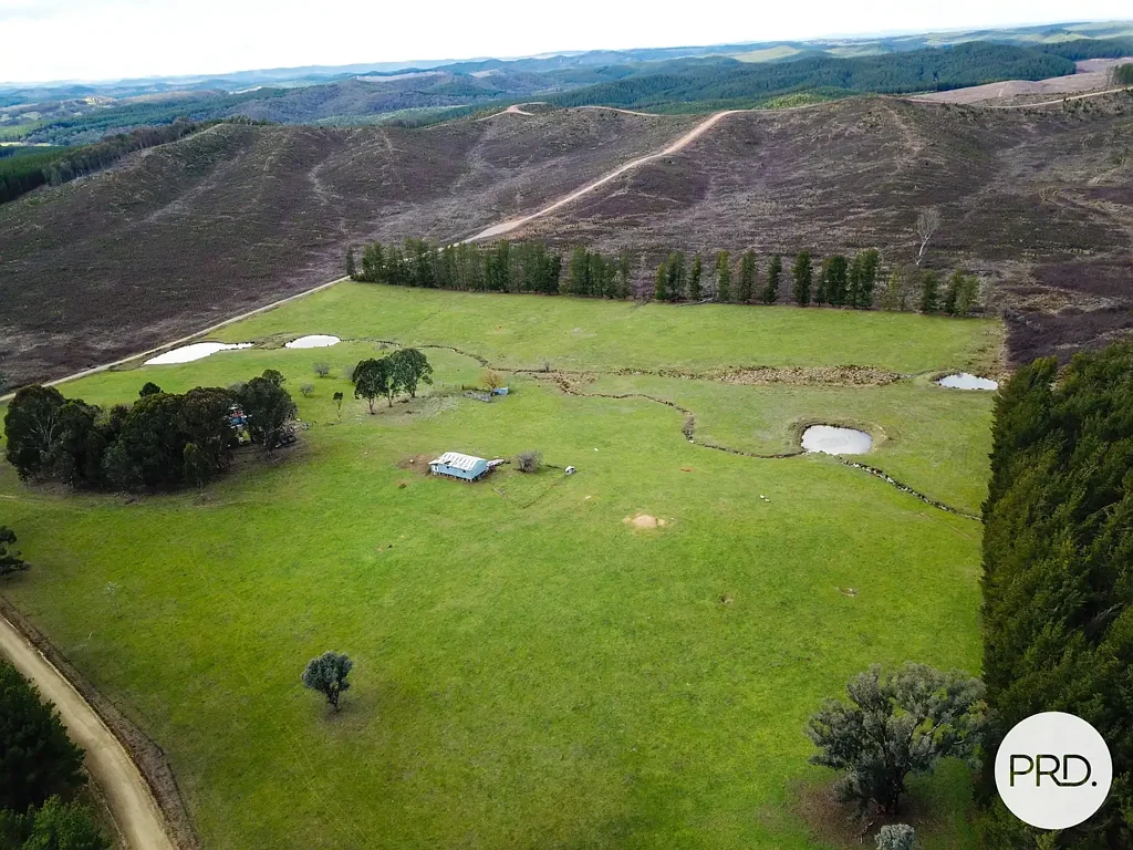 Tumbarumba "Wondara"