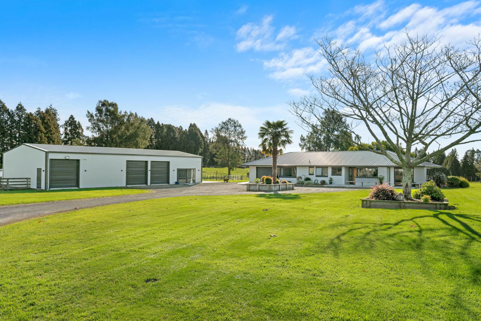 1128d Omanawa Road, Kaimai, Bay Of Plenty, 4 chambres, 0 salles de bain, Lifestyle Property