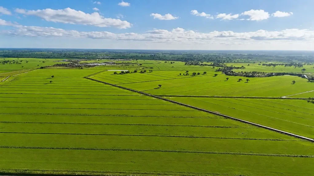 Cullen "Barrbend" - Prime Cropping & Grazing Property