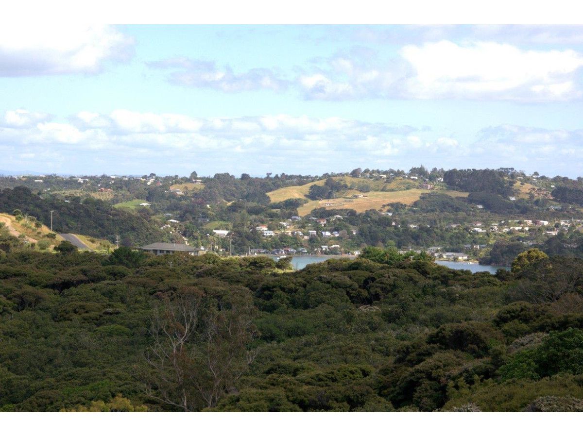 Hauraki Gulf Islands