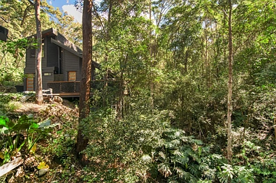11/400 Ruffles Road, Willow Vale, QLD 4209, 1房, 1浴, Unit