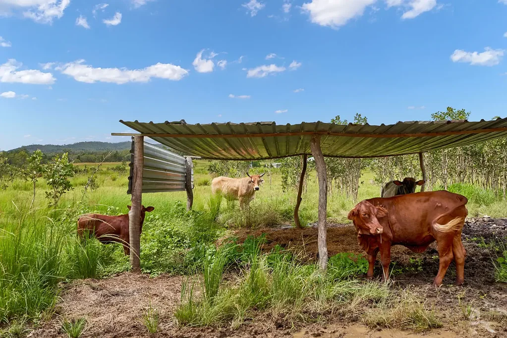 Biboohra Country living done right