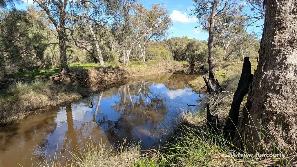 Orange Springs 589ac on the Moore River- Gingin North- Orange Springs