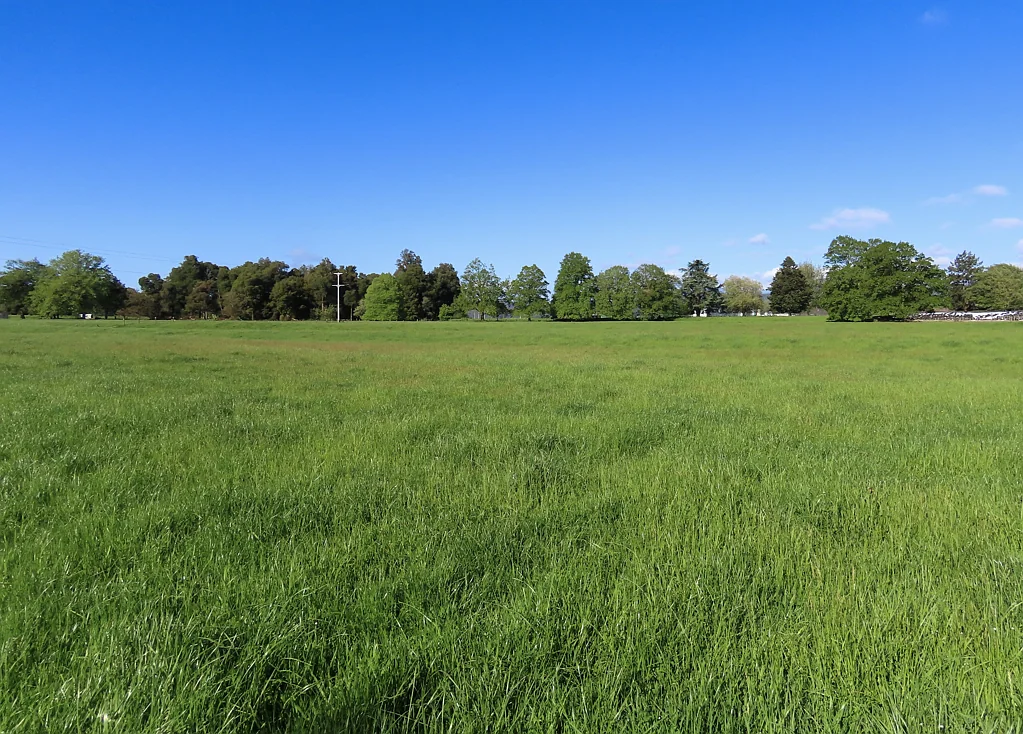 Reefton Space, Views and Opportunity