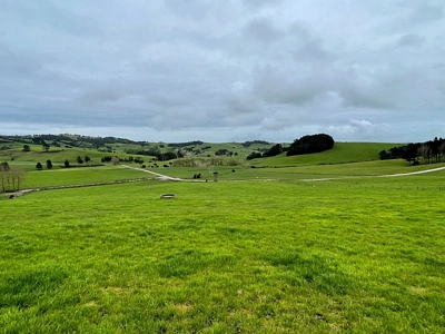 Rural  Rural Production Zone