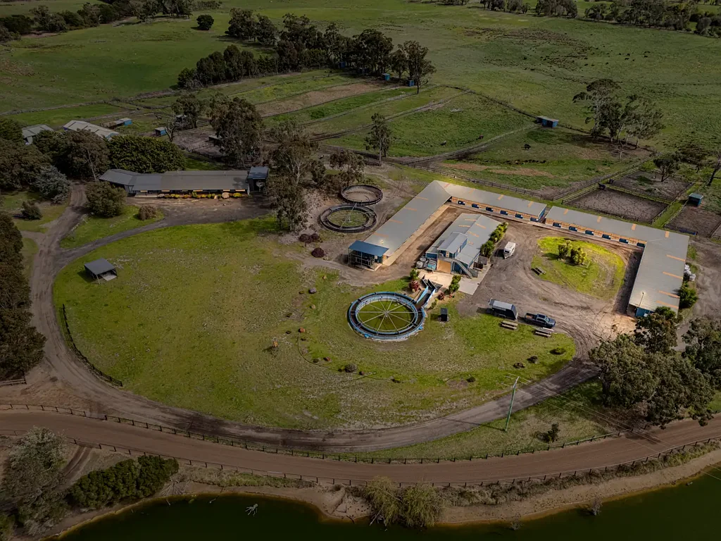 Cannons Creek Swept By