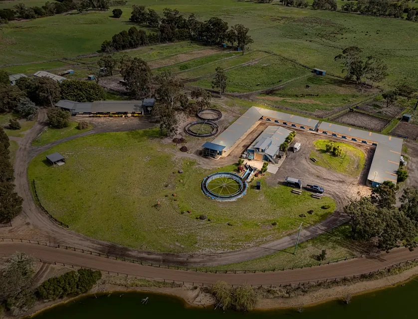 1370 Baxter Tooradin Road, Cannons Creek, VIC 3977, 3 ਕਮਰੇ, 2 ਬਾਥਰੂਮ, Lifestyle Property