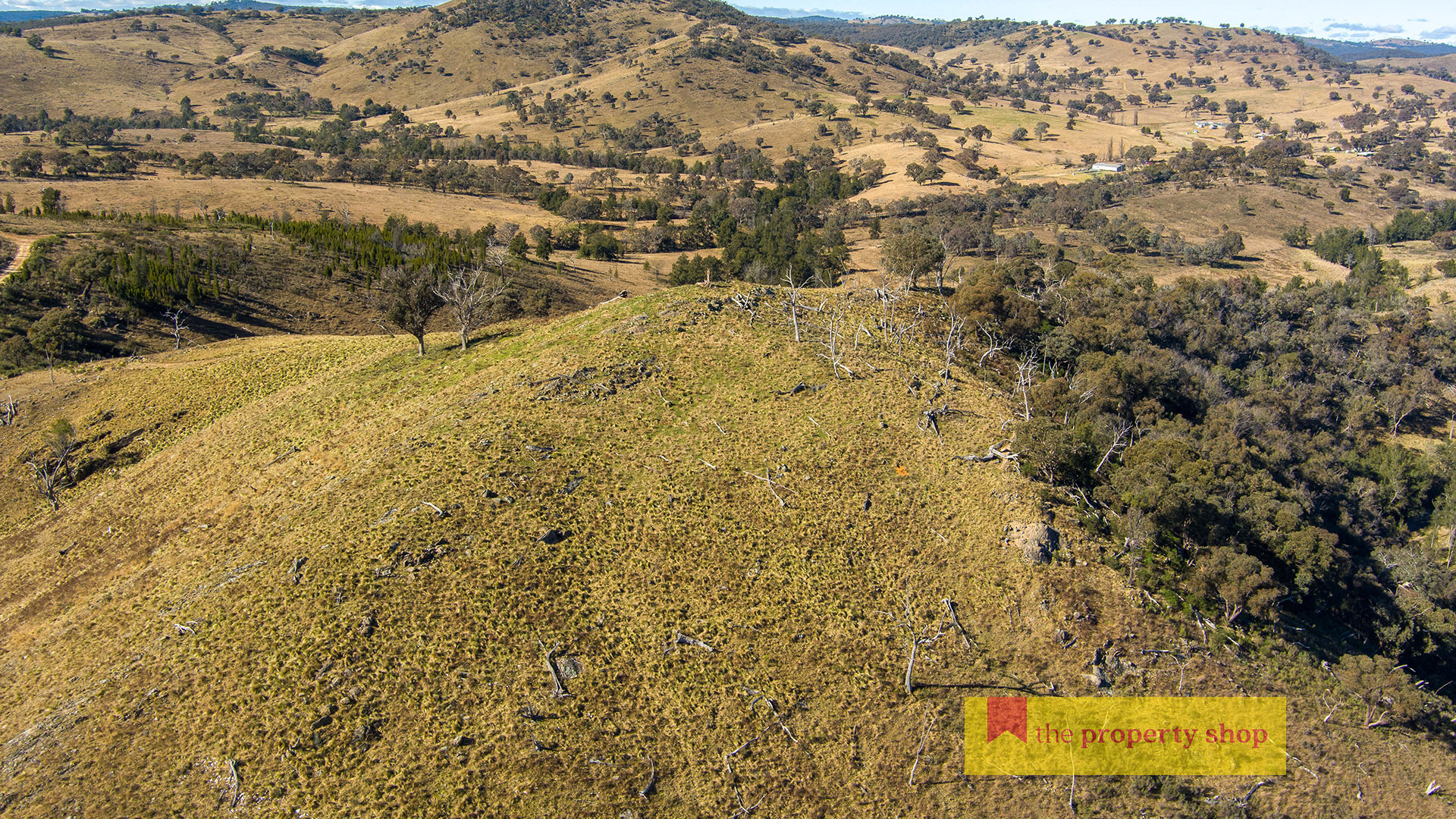 5056 HILL END RD, HARGRAVES NSW 2850, 0 રૂમ, 0 બાથરૂમ, Lifestyle Property