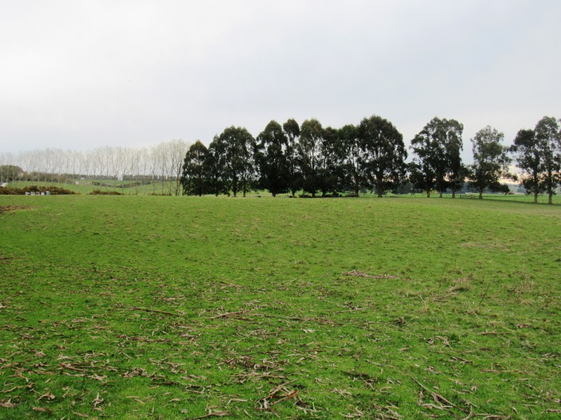 Rosewill Valley Road, Rosewill, Timaru, 0 rūma, 1 rūma horoi