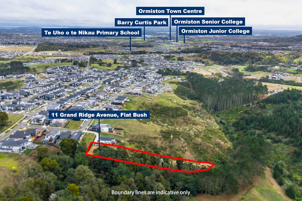 Flat Bush 4215sqm of Prime Land – Space, Location & Value!