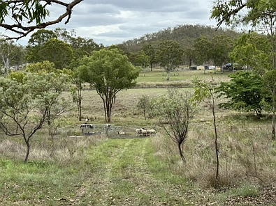 Kilkivan 2Kwarto Sustainable Living Starts Here – 18.73 Acres of Opportunity