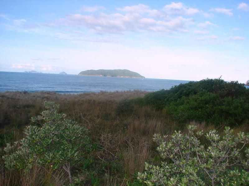 118 Ocean Beach Road, Tairua, Coromandel, 3 침실, 1 욕실