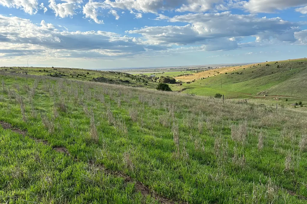 Tumby Bay Prime Rural Lifestyle Opportunity Near Tumby Bay