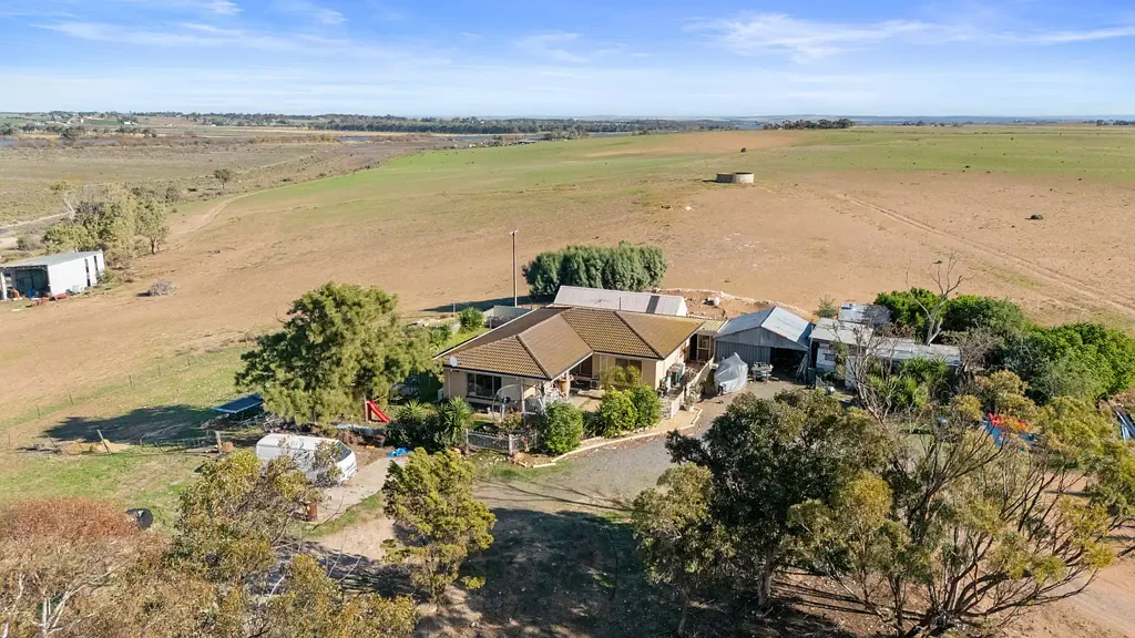 Tailem Bend  266 Acre Riverfront Property with title into the River!!