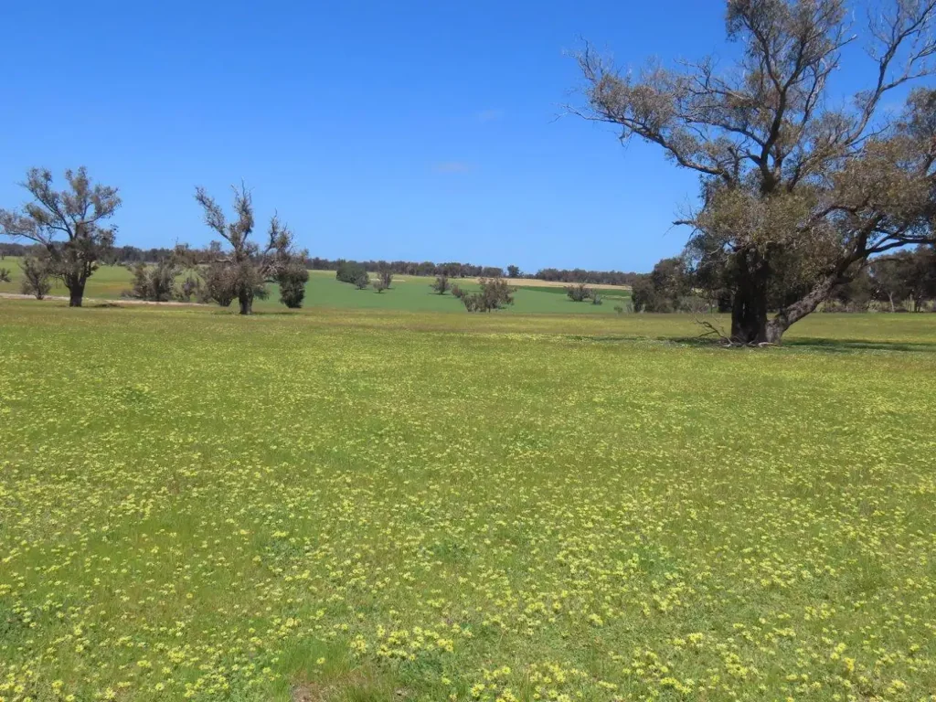 Kulikup Productive Farm or Lifestyle Opportunity 182.25 HA (450.34 Ac)*