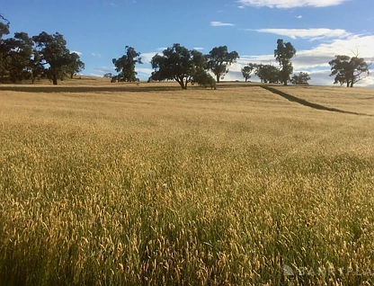450 Sheepstation Creek Road, Yellingbo, VIC 3139, 0房, 0浴, Lifestyle Section