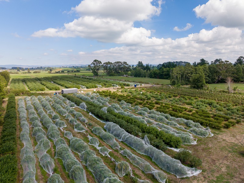 446 O'Regan Road, Ngahinapouri, Waipa, 0房, 0浴