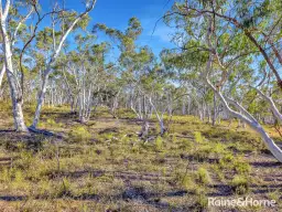 Lot 1 Hill End Road, Tambaroora