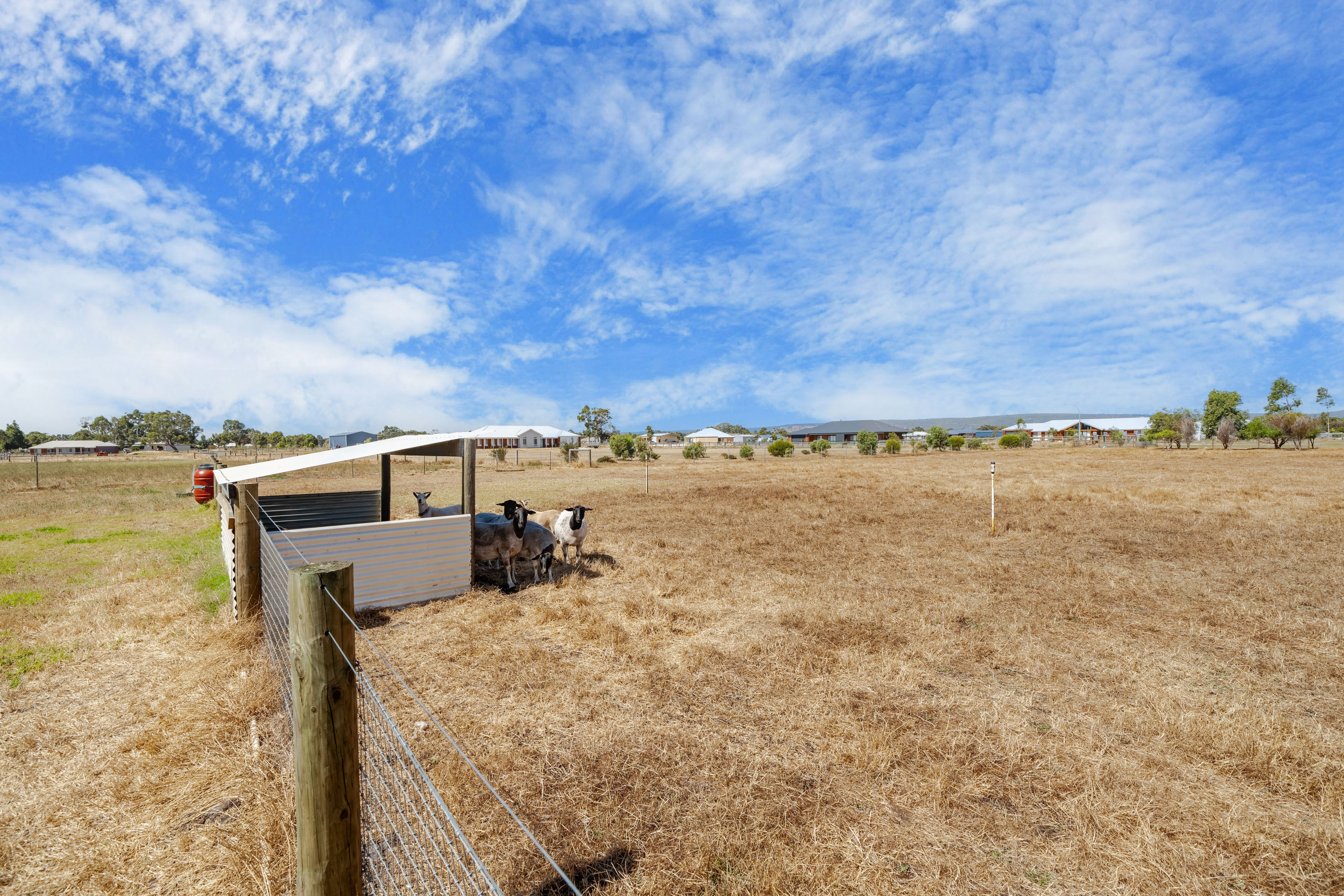 20 AVOCA RTT, NORTH DANDALUP WA 6207, 0房, 0浴, Lifestyle Section