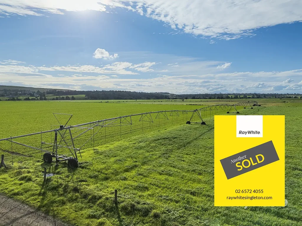 83 Knodlers Lane, Maison Dieu, Singleton, NSW 2330