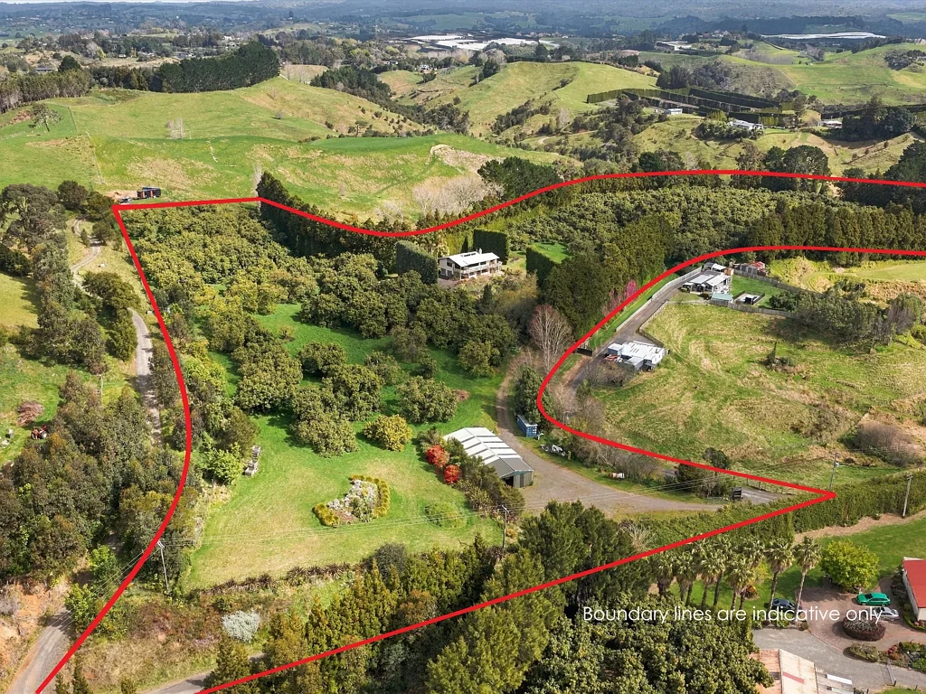 Whakamarama Avocados, acreage and opportunity