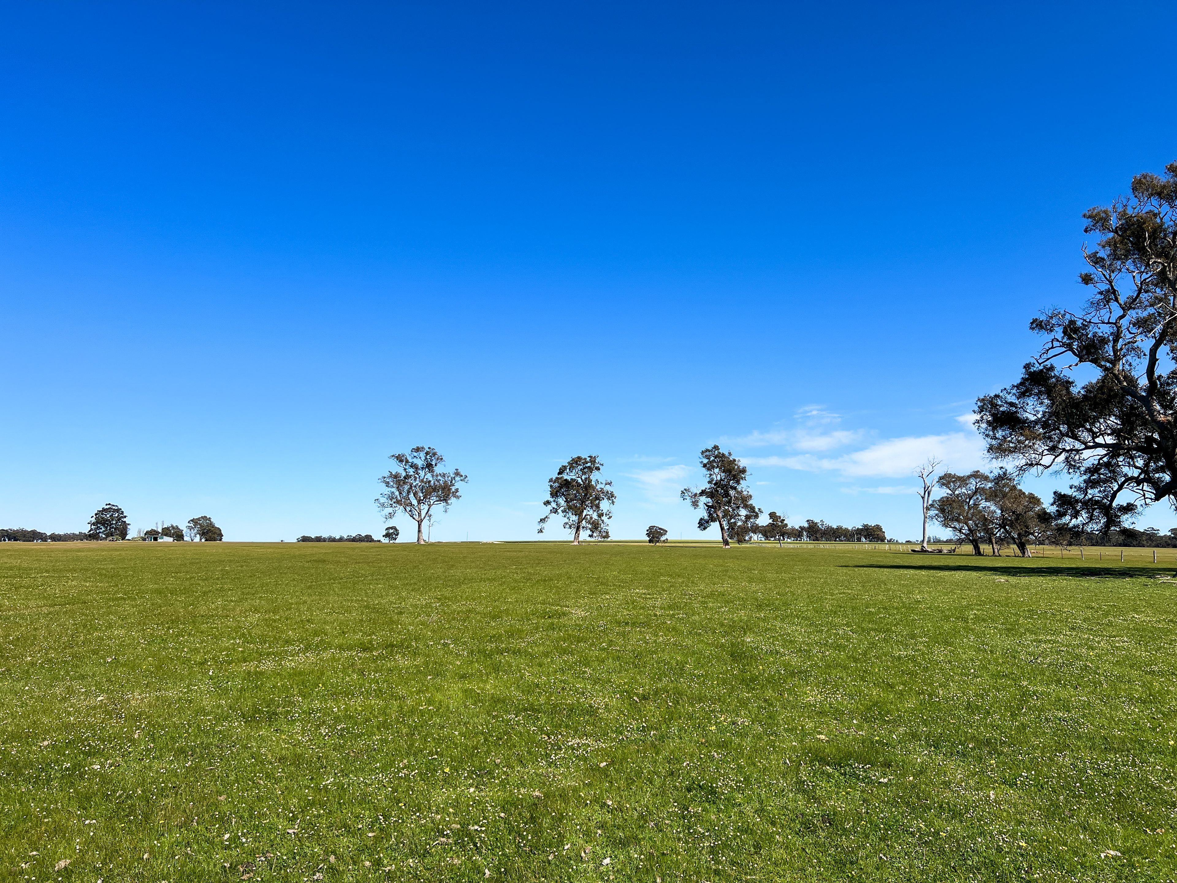 353 FRANKLAND-CRANBROOK RD, FRANKLAND RIVER WA 6396, 0 Schlafzimmer, 0 Badezimmer, Lifestyle Property