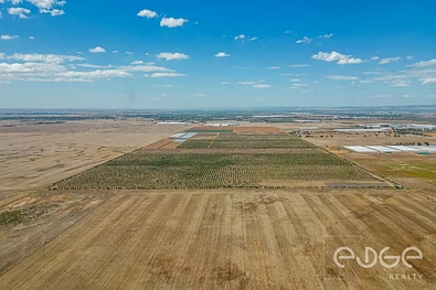 Lot 9 Brownes Road, Middle Beach, SA 5501, 0 slaapkamers, 0 badkamers, Section