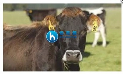 农场销售量升 农民信心滑落
