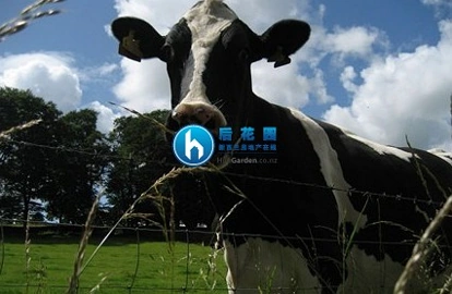更多破产农场正寻找海外买家