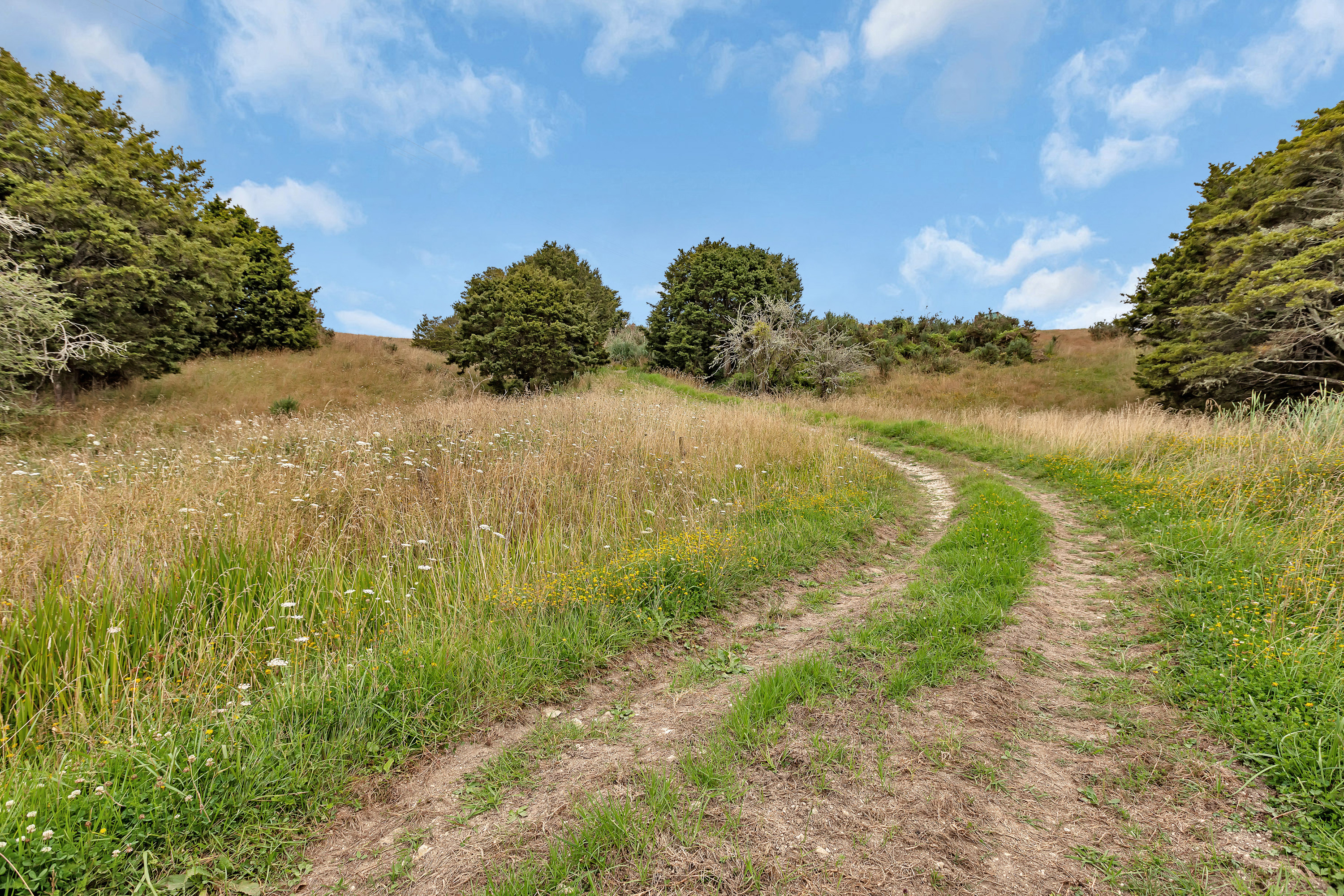 1754 Ararua Road, Otamatea Surrounds, Kaipara, 0 chambres, 0 salles de bain, Lifestyle Section