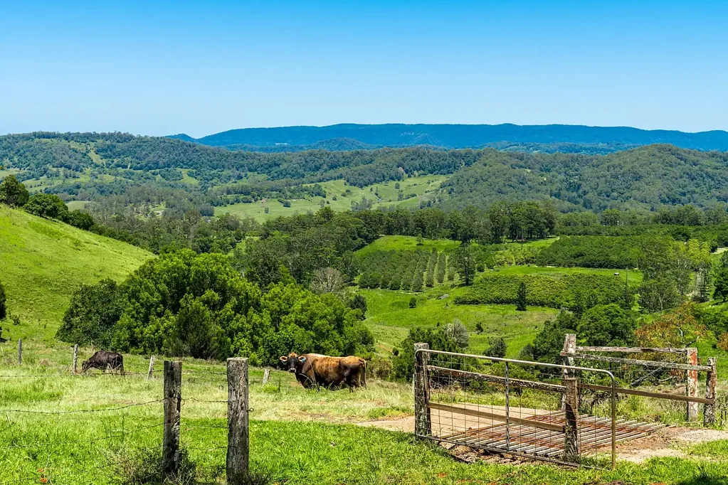 Koonorigan Majestic Views - 228 Acres - Two Titles